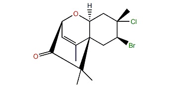 Compositacin B